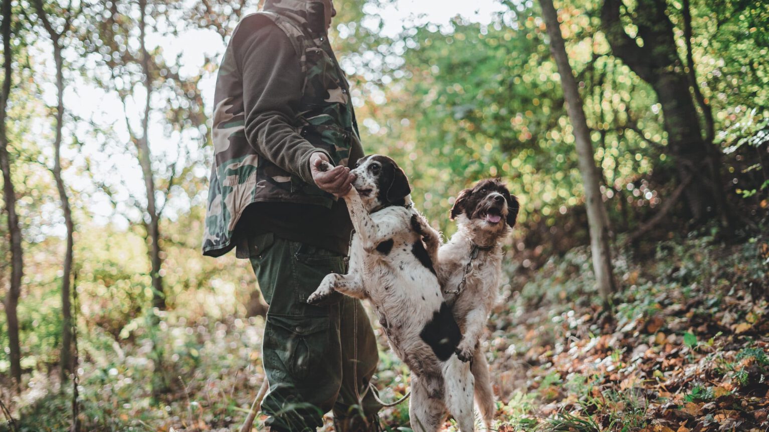 Truffle Hunting tour