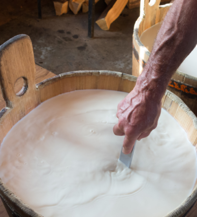 Cheesemaking Experience