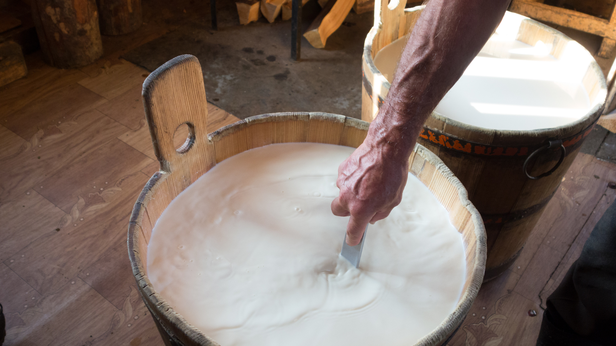 Cheesemaking Experience